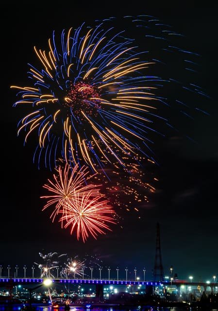 Fireworks Over the Bay on a wall above a sofa